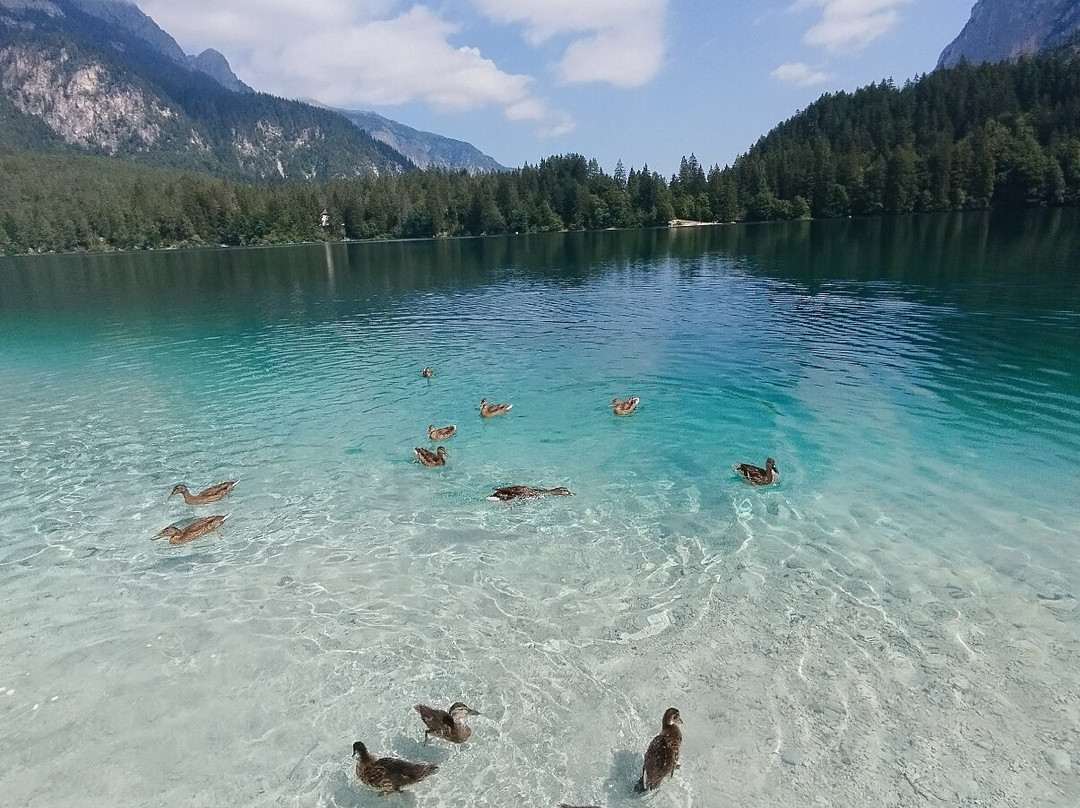 Lago Di Tovel-Tuenno必去景点
