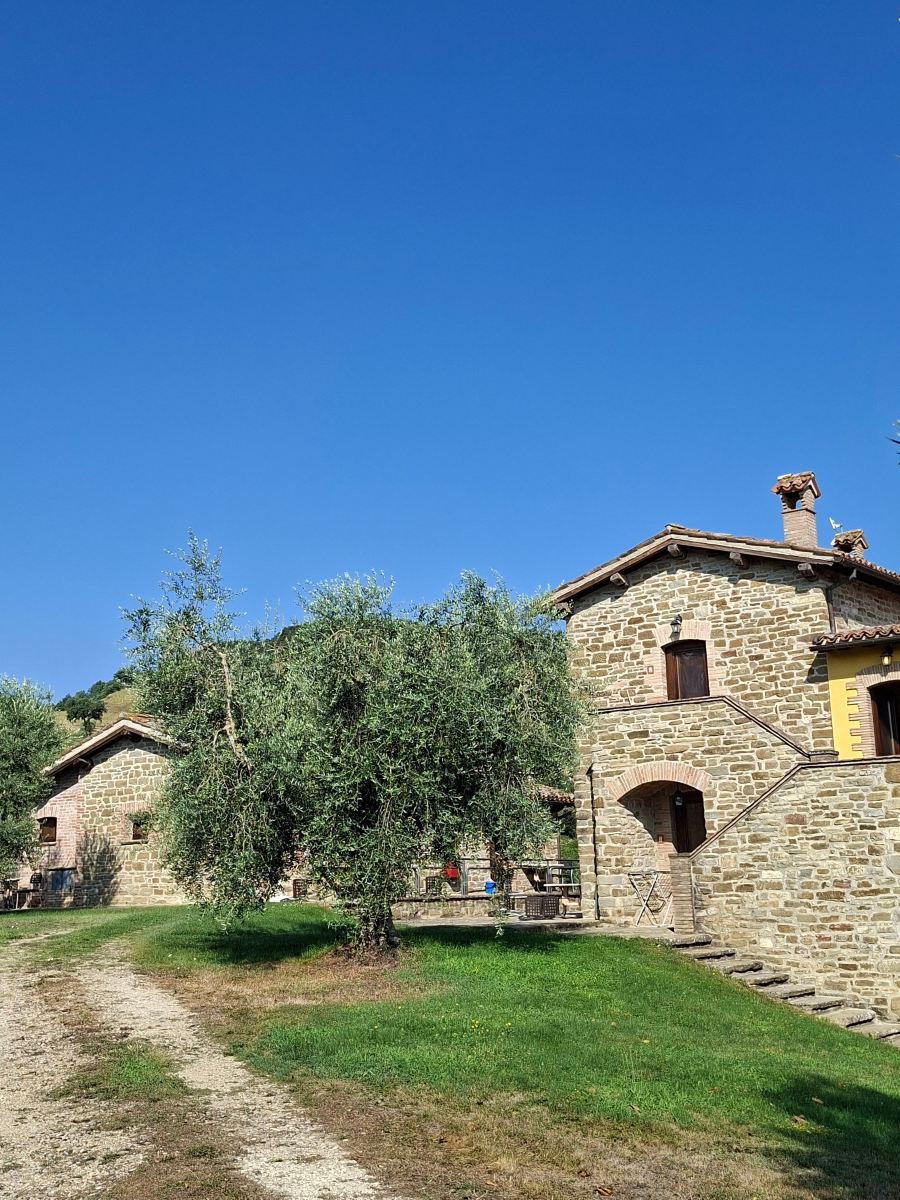 Agriturismo Tenuta di Biscina-旅行者