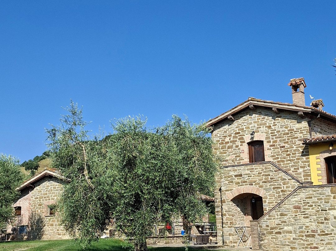 Agriturismo Tenuta di Biscina主图