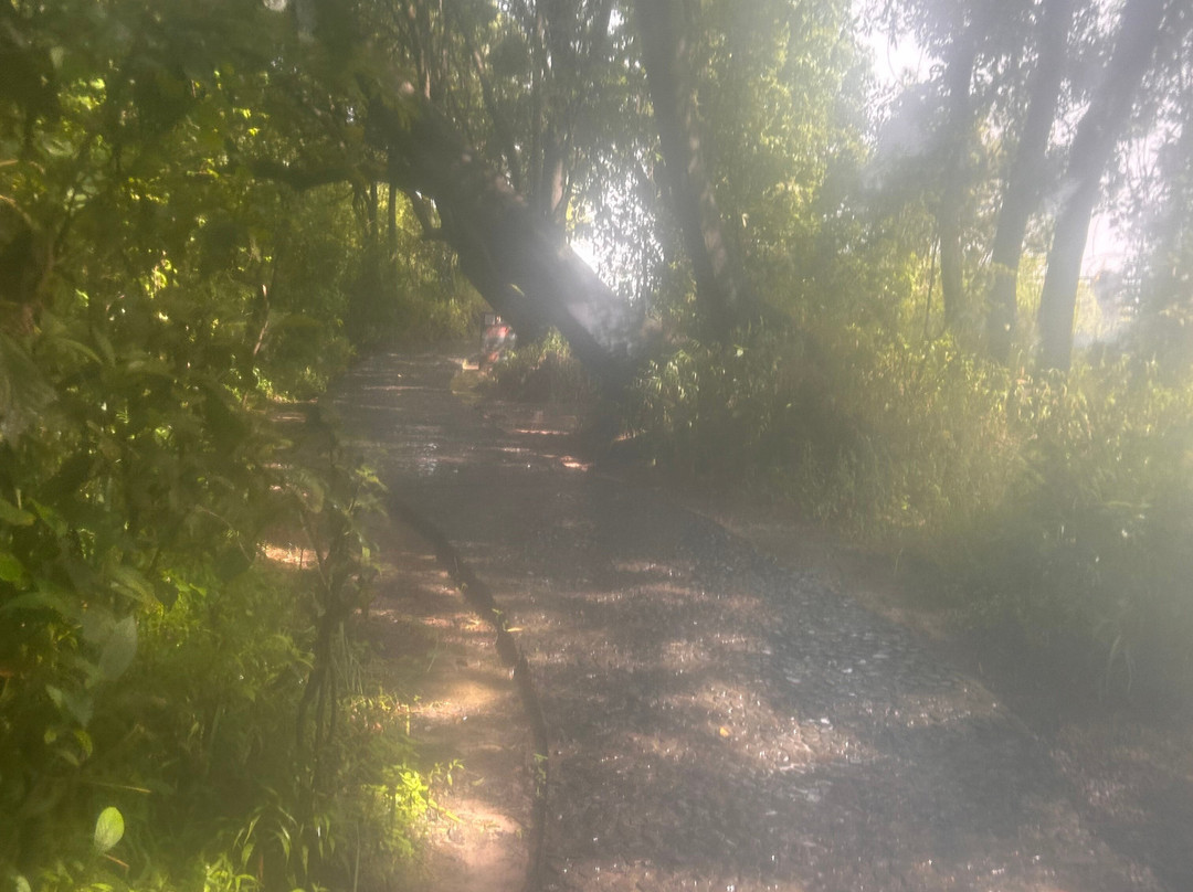 Victoria Falls, Mosi-Oa-Tunya-李文斯顿必去景点