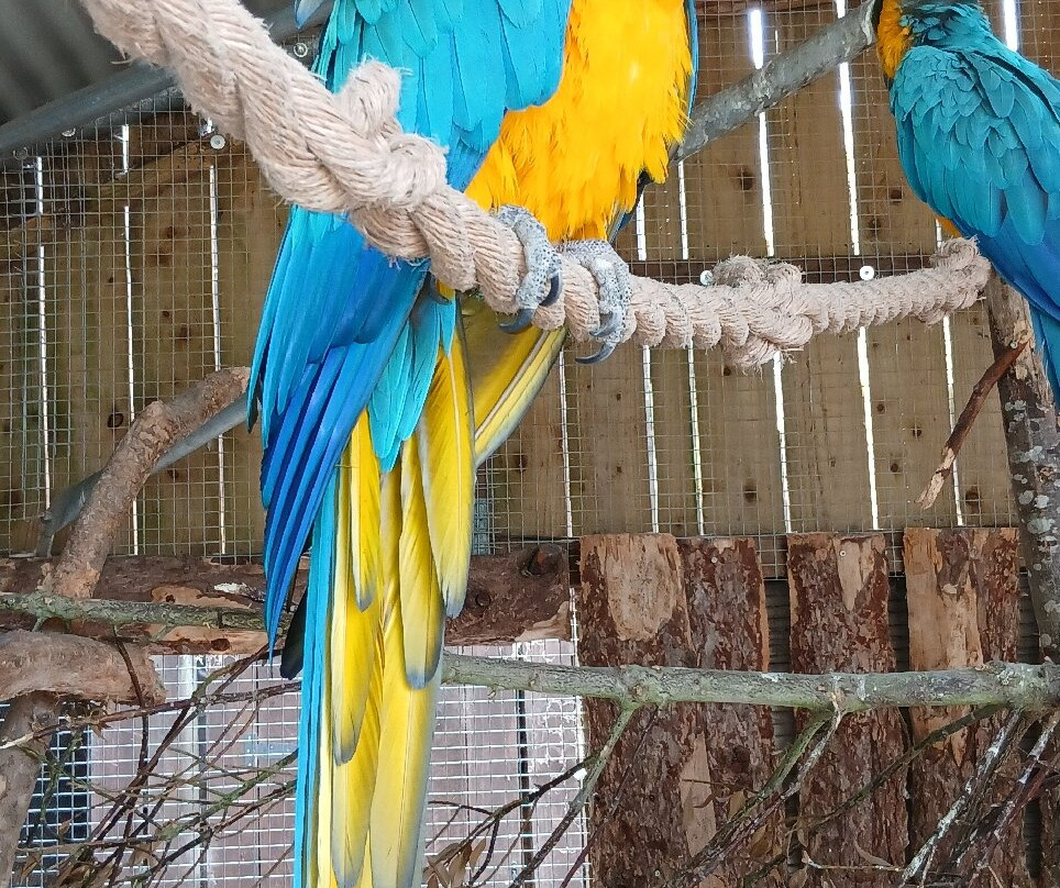 Wild Zoological Park-Bobbington必去景点