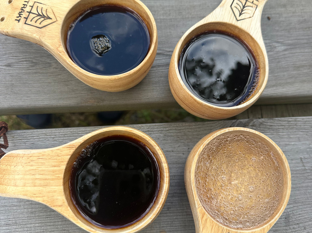 Trakt Forest Hotel主图
