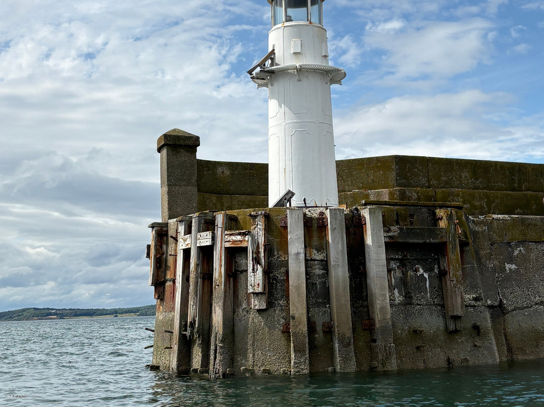 Forth Sea Safaris-Burntisland必去景点