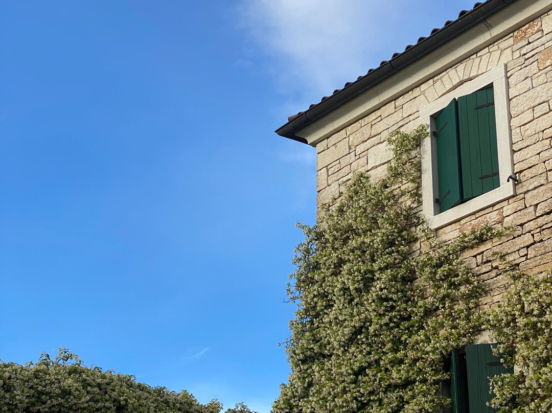 La Casa Di Matiki主图
