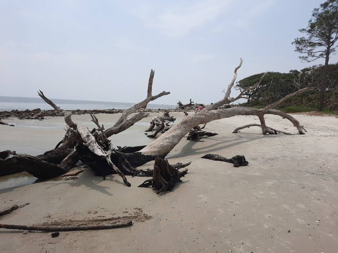 Driftwood Beach-吉柯岛必去景点
