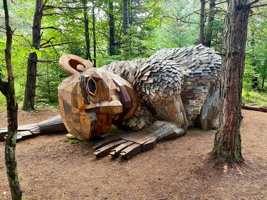 The Wild Center-Tupper Lake必去景点