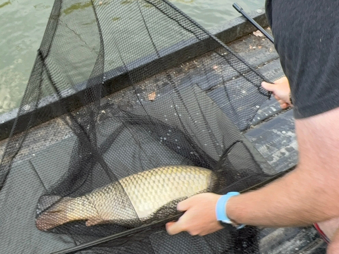 Upper Farm Fishery-Henton必去景点