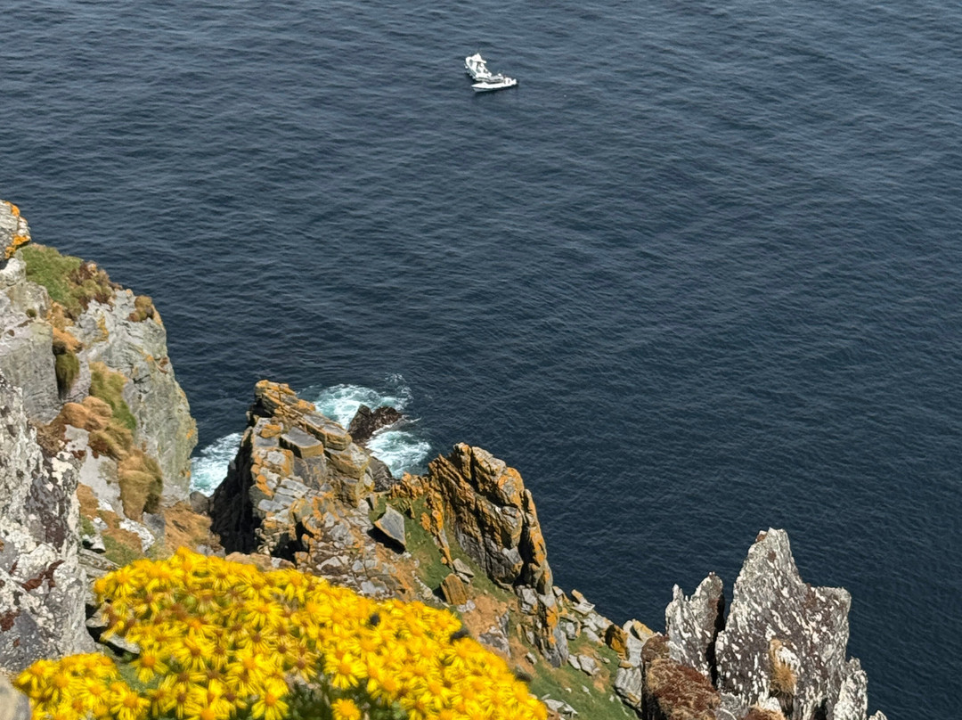 Skellig Falcon-Ballinskelligs必去景点