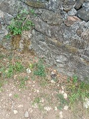 Casa delle Grotte di Ara-Grignasco必去景点
