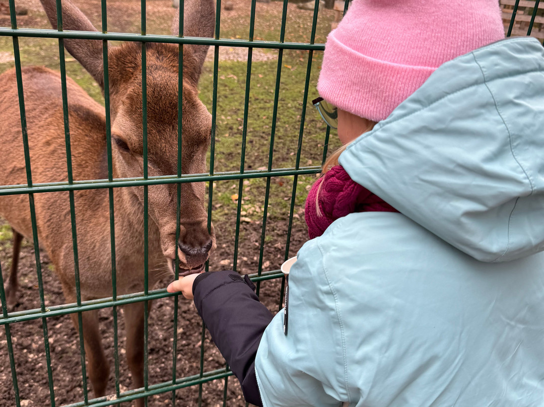 Wild- und Freizeitpark-Teublitz必去景点