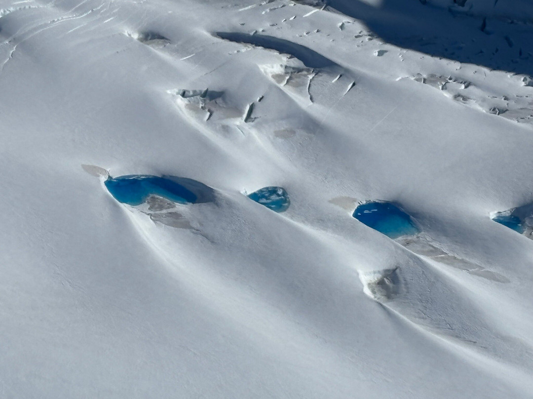 Icefield Discovery-海恩斯章克申必去景点