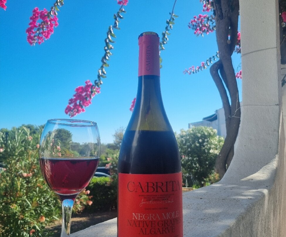 Cabrita Wines-Silves必去景点