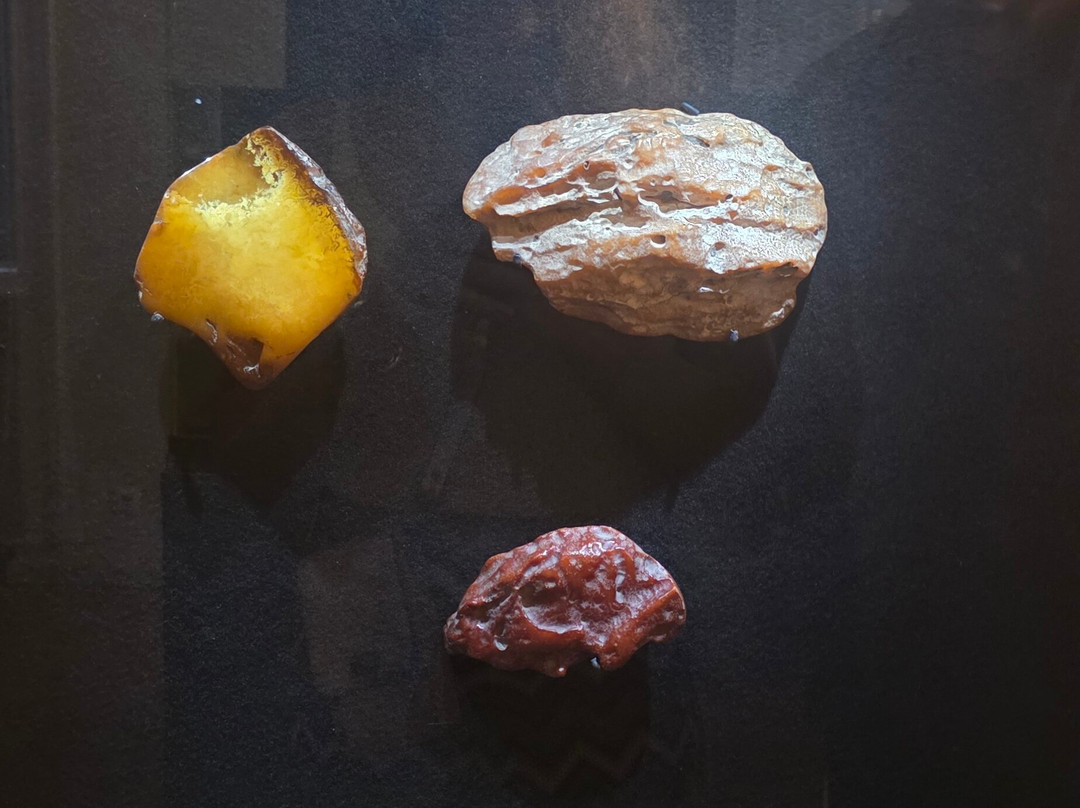 Palanga Amber Museum-帕兰加必去景点