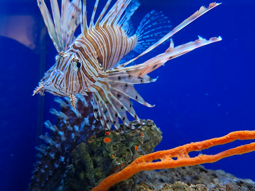Acquario Del Salento-Santa Maria al Bagno必去景点