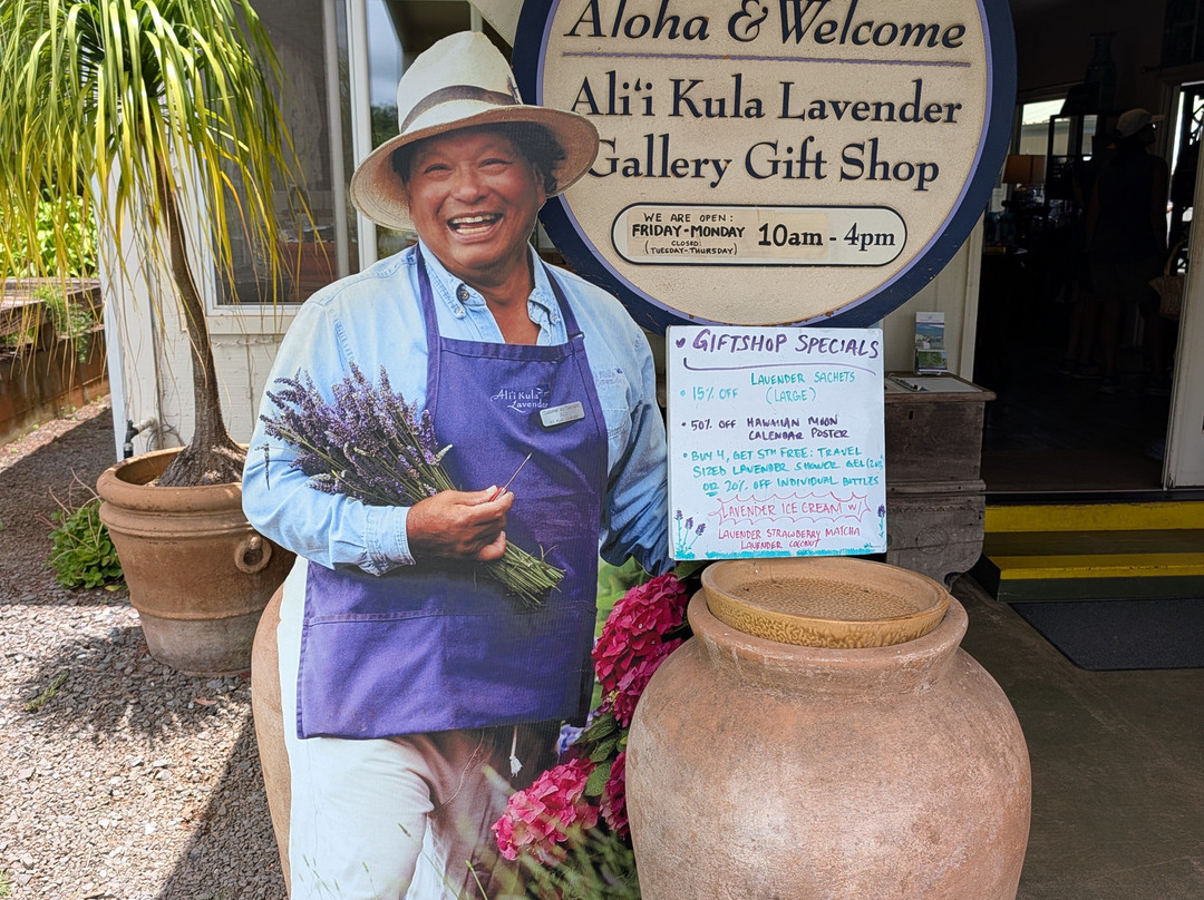 Alii Kula Lavender-库拉必去景点