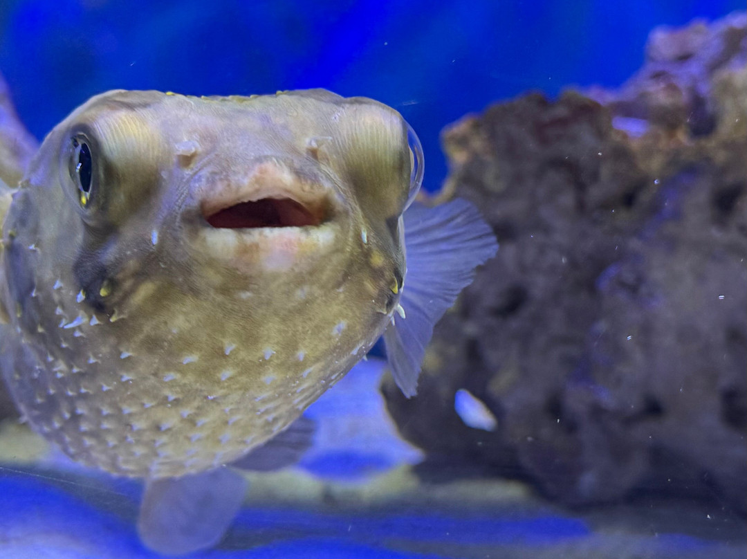 AquaRio-里约热内卢必去景点