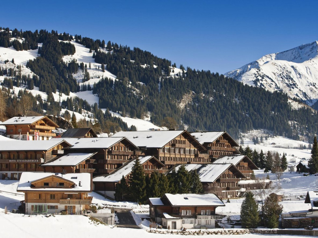 格斯塔德酒店住宿-HUUS Gstaad Hotel