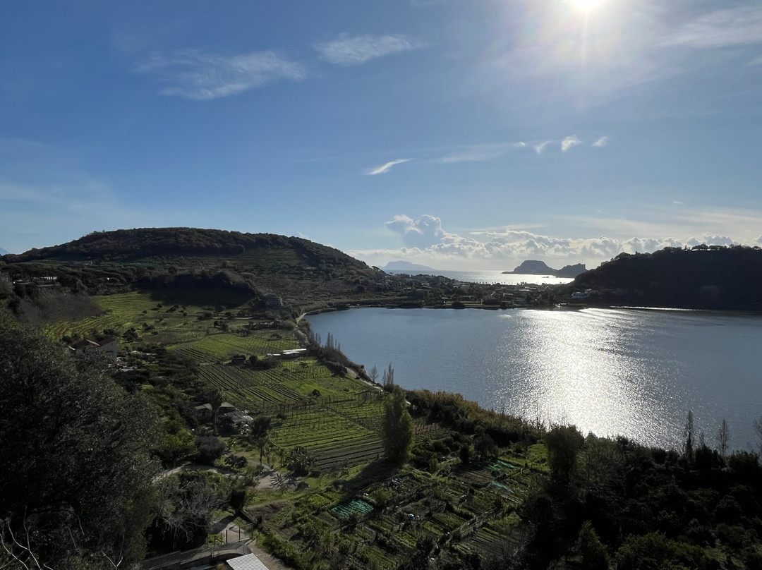 Lago d'Averno-波佐利必去景点