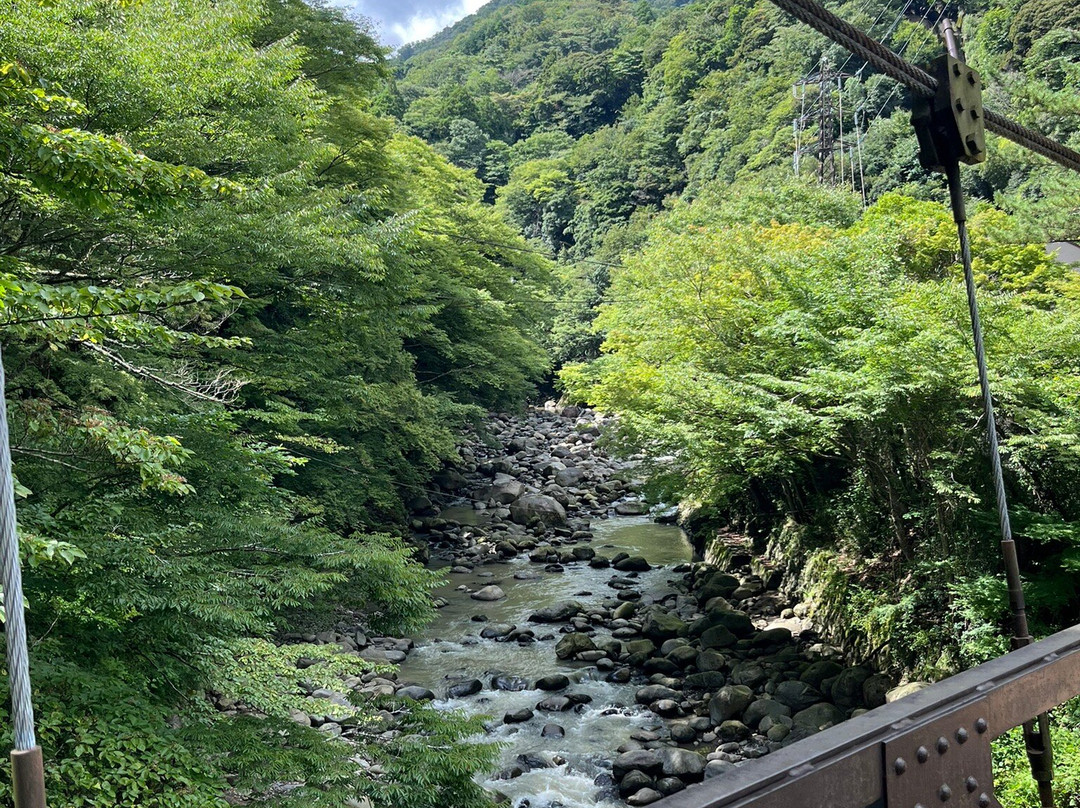 欣赏四季之宿 山之茶屋主图