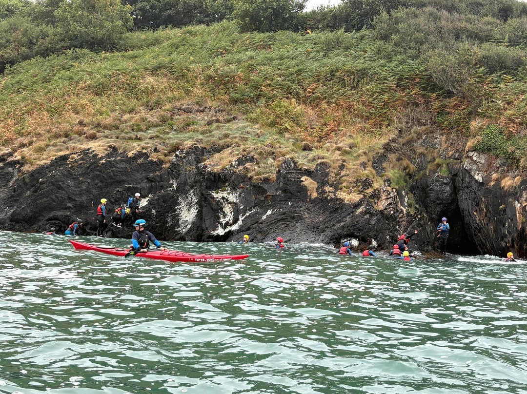 Adventure Beyond-Coed Y Bryn必去景点