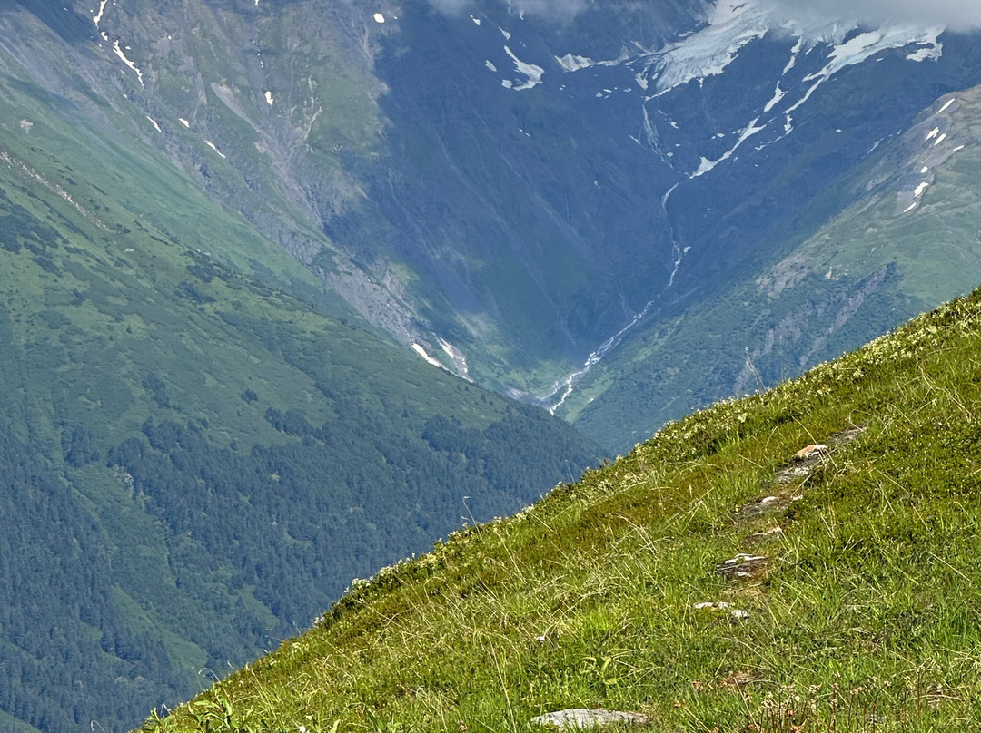 Alyeska Aerial Tramway-戈德伍德必去景点