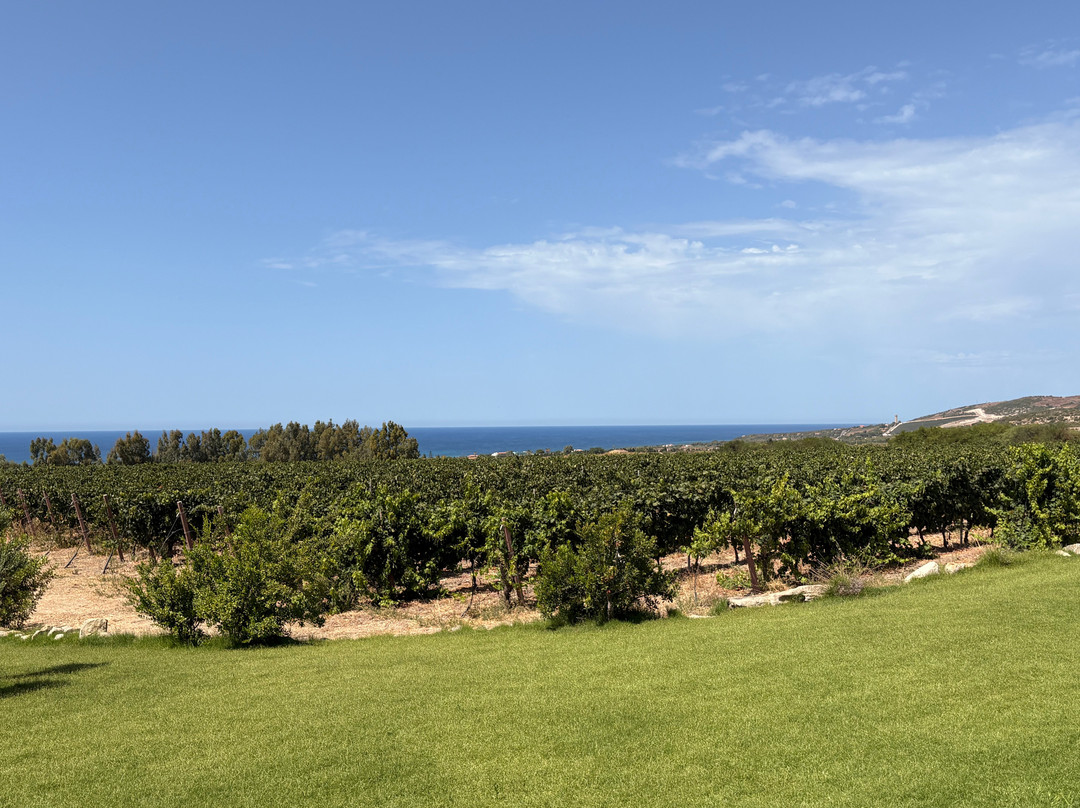 Cantina Nuraghe Crabioni-Sorso必去景点