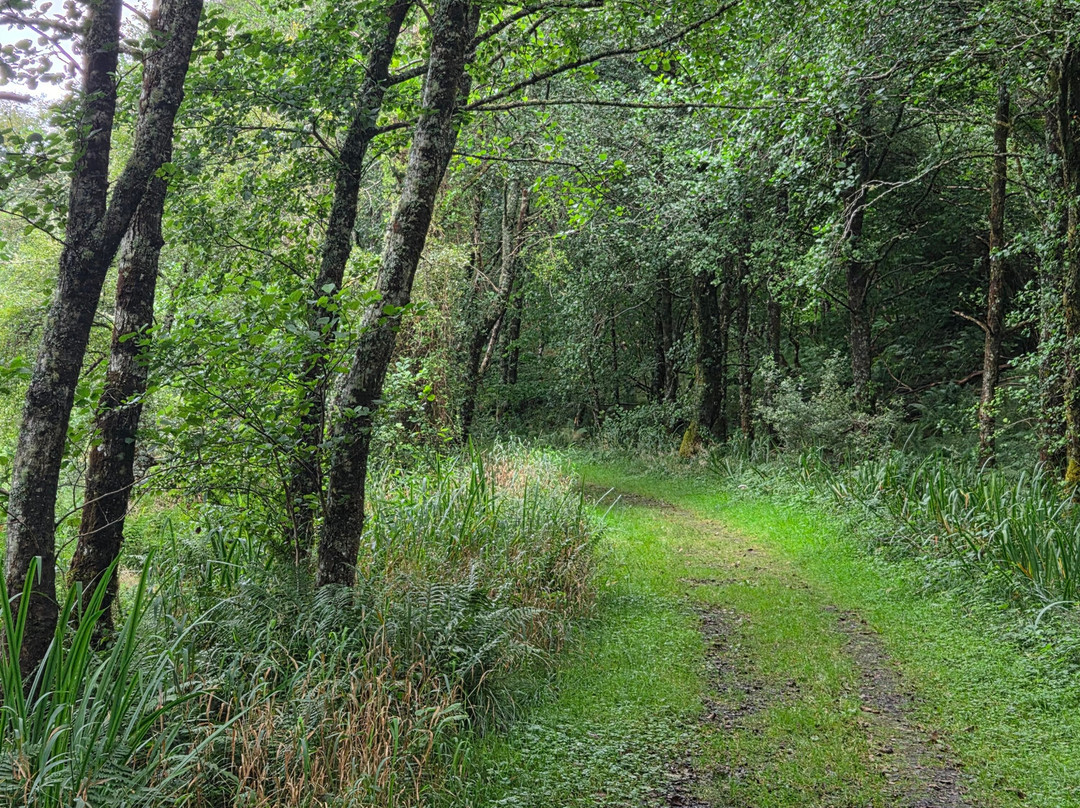 Argyll Beaver Centre-Lochgilphead必去景点