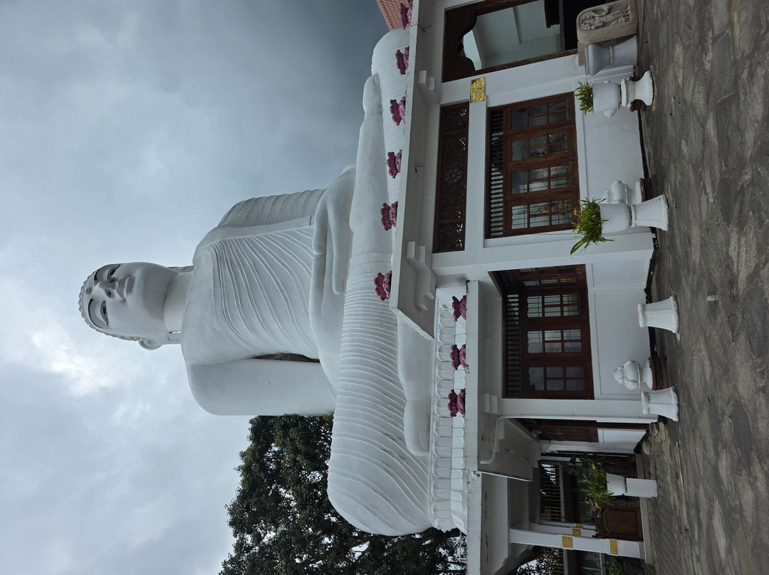 Driver in Sri Lanka-科伦坡必去景点