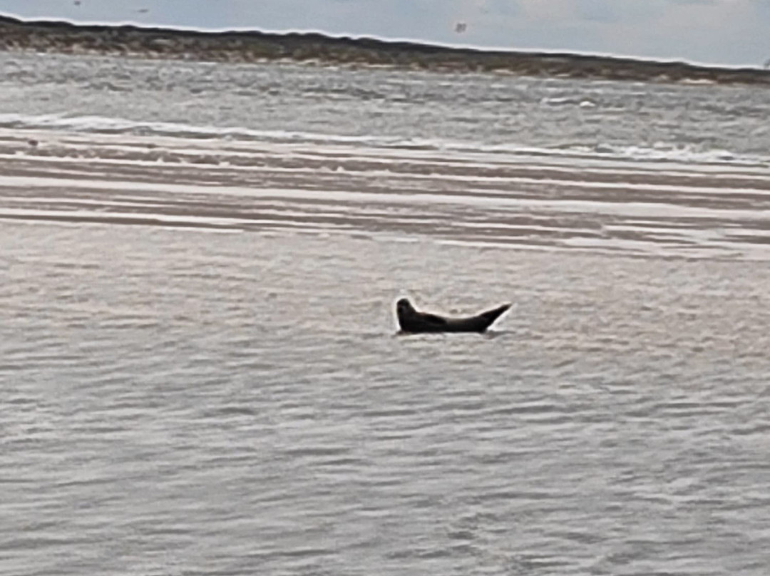 Waddenveer De Vriendschap-De Cocksdorp必去景点