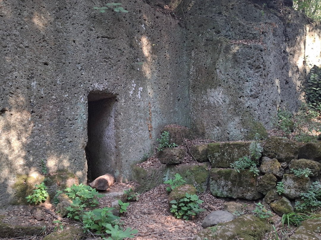克利奈住宿加早餐旅馆主图