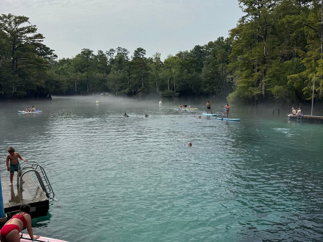 Morrison Springs County Park-佛罗里达必去景点