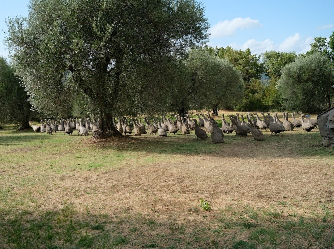 Il giardino di Daniel Spoerri-Seggiano必去景点
