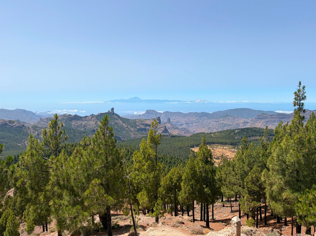 Pico De Las Nieves-大加那利岛拉斯帕尔马斯必去景点