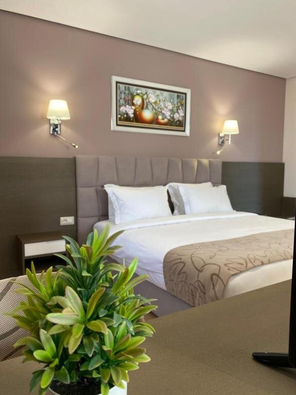 Tirana County酒店住宿-Doanesia Premium Hotel & Spa