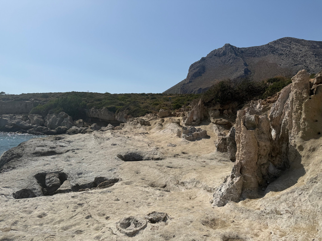 Petrified Forest-Agios Nikolaos必去景点