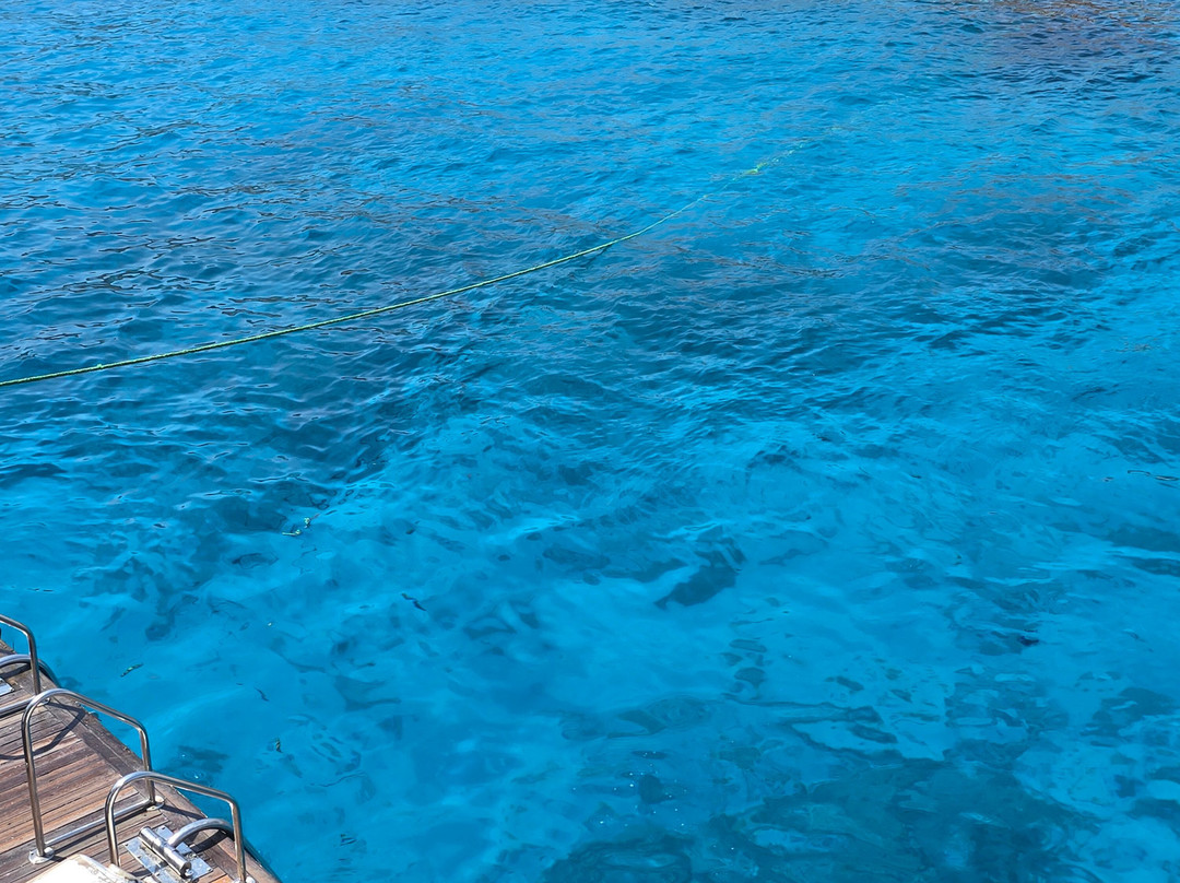 Tiran Island-Tiran Island必去景点