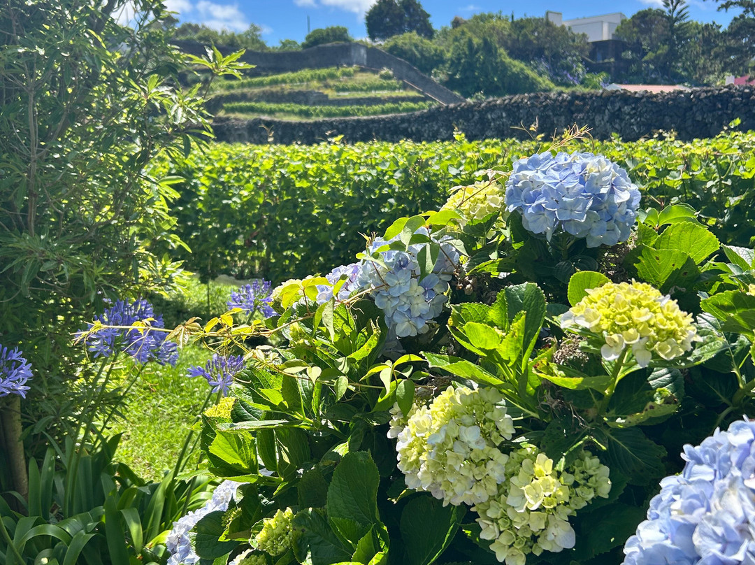 Quinta da Jardinete Vineyard-蓬塔德尔加达必去景点