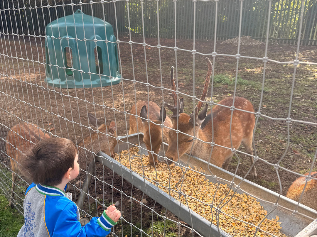 Secret Valley Wildlife Park-韦克斯福德必去景点