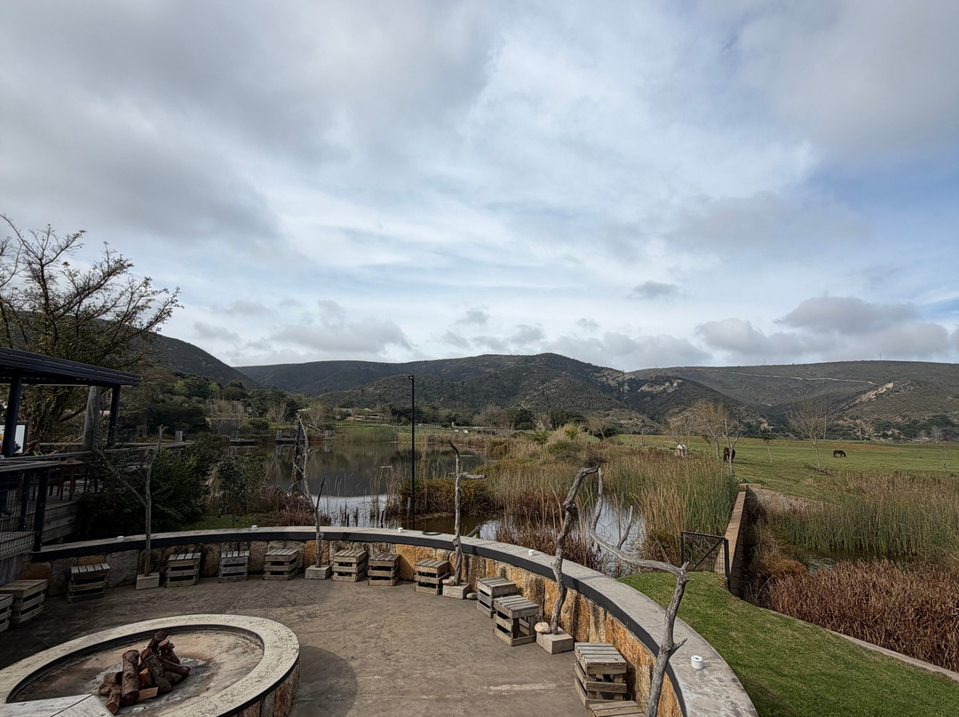 Botlierskop Private Game Reserve-莫塞尔贝必去景点