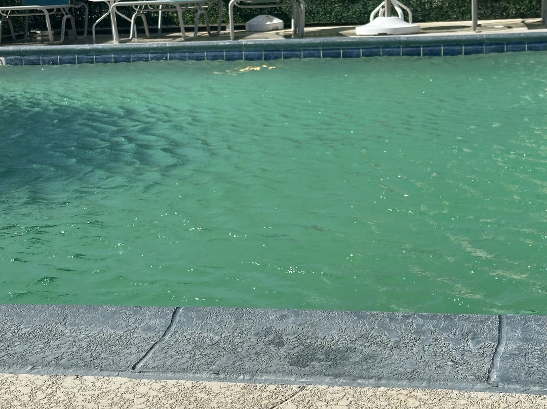 水晶海岸海滨酒店主图