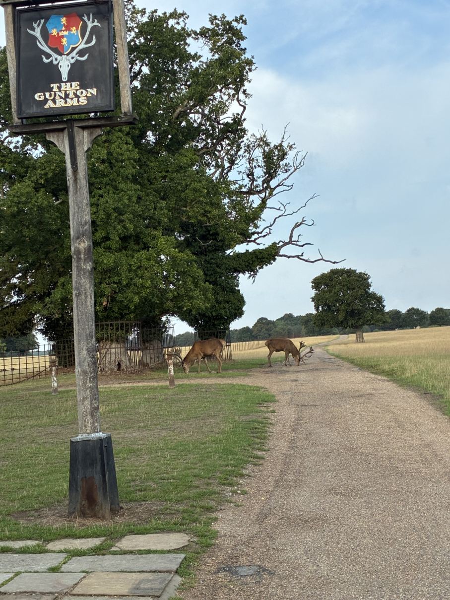 The Gunton Arms-旅行者