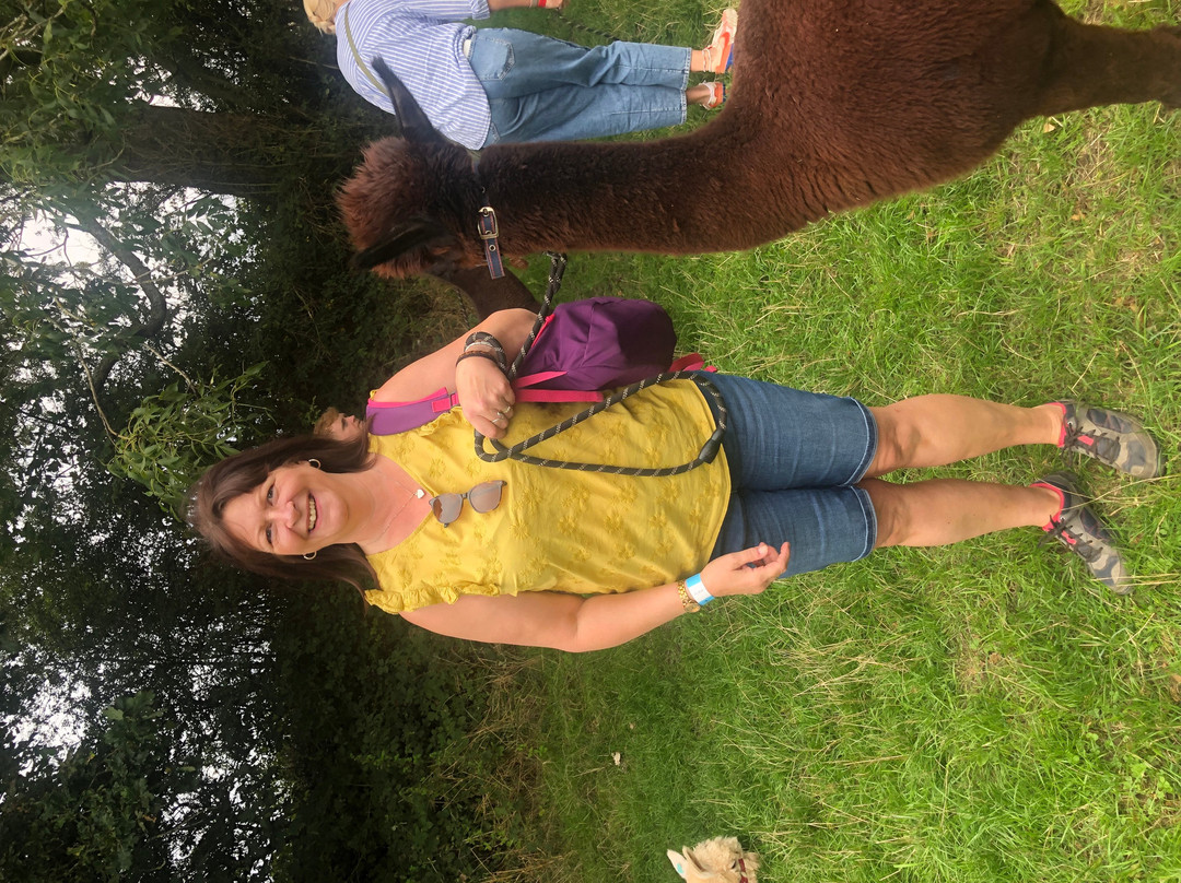Charnwood Forest Alpacas-Boundary必去景点
