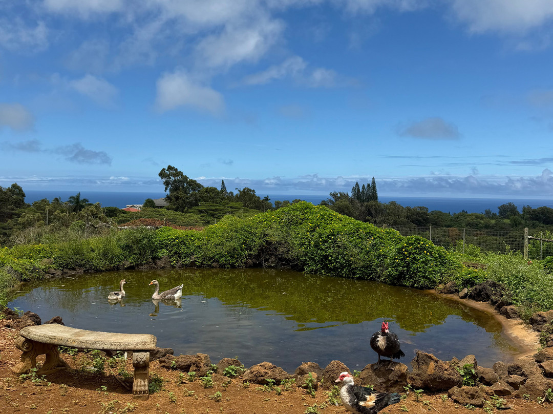 Leilani Farm Sanctuary-海库必去景点