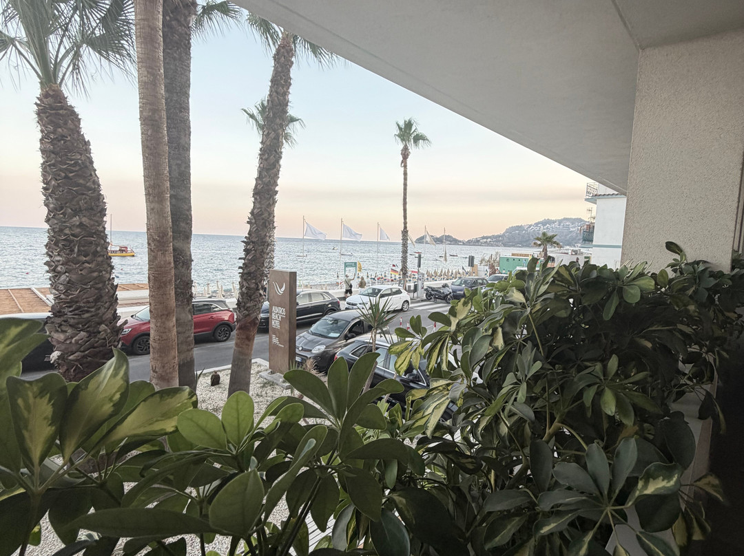 信天翁海滩酒店主图