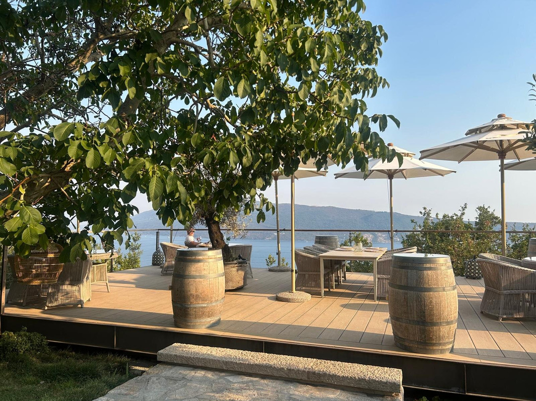 Savina Winery-赫尔采格诺维必去景点