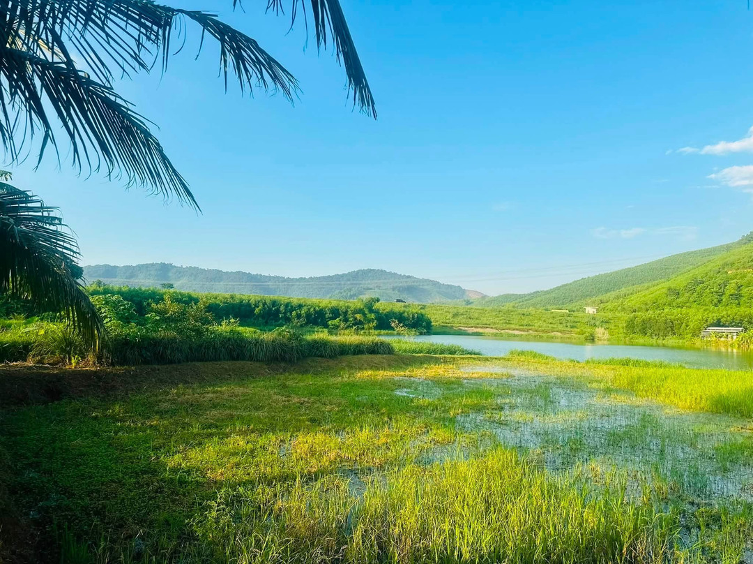Dong Du Eco Farmstay-Nghia Thuan必去景点