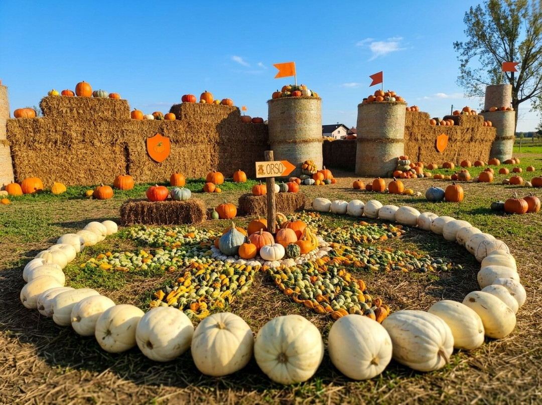 Il Villaggio della Zucca-Favria必去景点