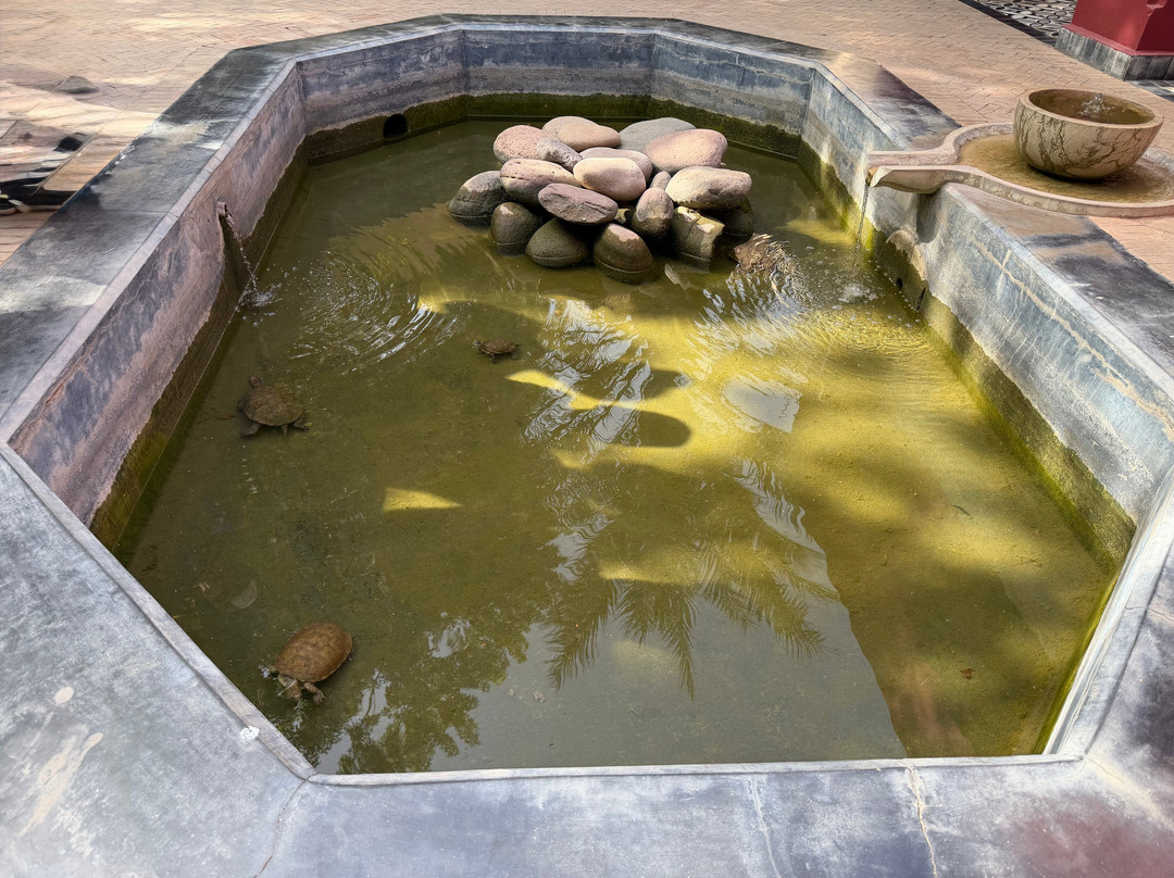香颂秘密花园-马拉喀什必去景点