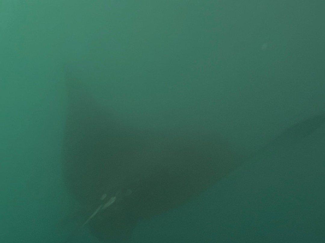 Kicker Rock-Puerto Baquerizo Moreno必去景点