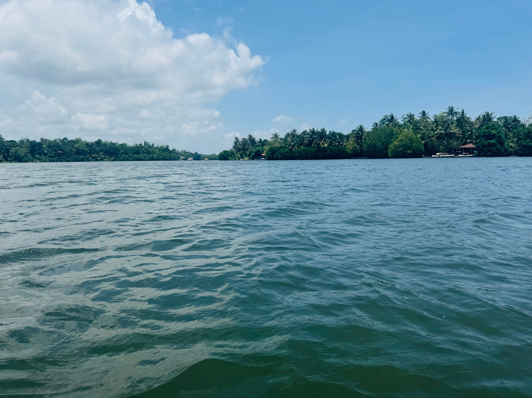 Koggala Lake Boat Safari & Kayak Adventure with Malish-克拉必去景点